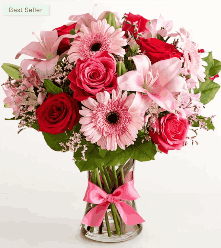 valentine's day gifts